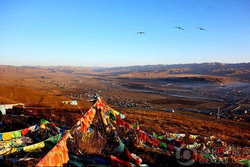 廣州到阿壩藏族羌族自治州物流專線,廣州到阿壩藏族羌族自治州貨運公司