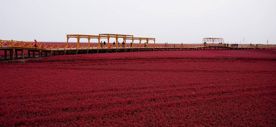 廣州到盤錦物流專線,廣州到盤錦貨運(yùn)公司